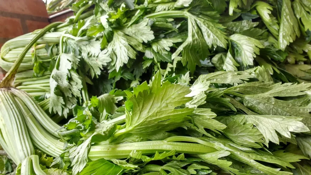 Celery : Advantages and Disadvantages