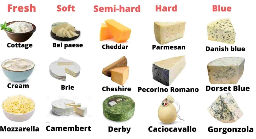 Cheese and Types of Cheese