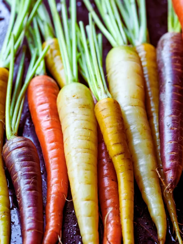 10 Delicious Carrot Recipes You Must Try