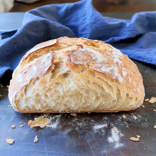 Rustic Italian Crusty Bread