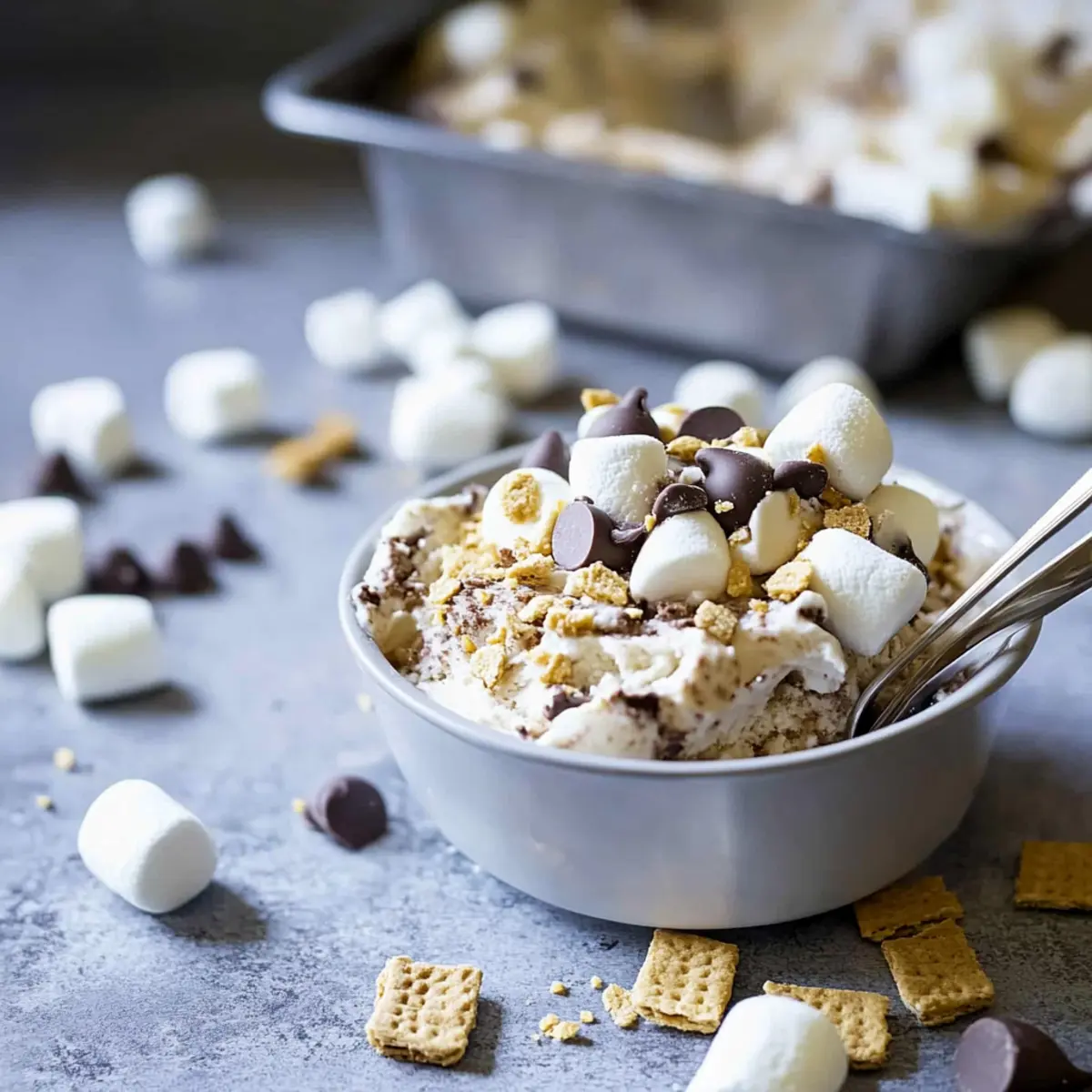 Homemade S’mores Frozen Yogurt